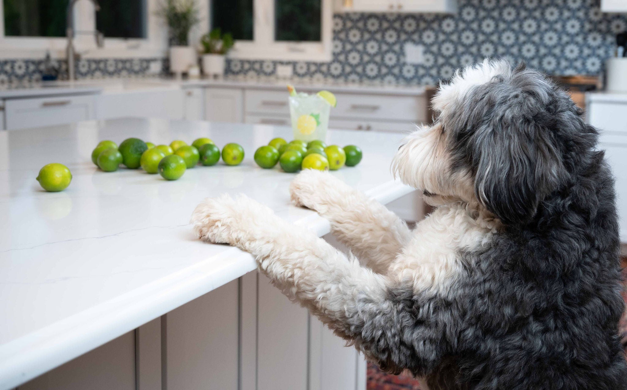 Lindsay's Southside Mix